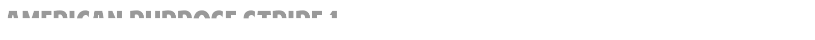 American Purpose STRIPE 1 font preview